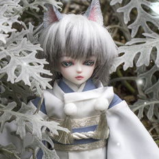 雪彦 ∙Yukihiko The Winter Fox