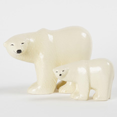 Polar Bear 北极熊